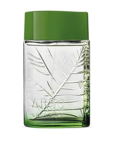 Perfume Arbo Masculino 100ml